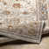 Hodder Oriental Indoor Rug