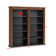 Cataleya 34'' H Media Shelves