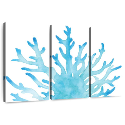 Corail de mer Brampt