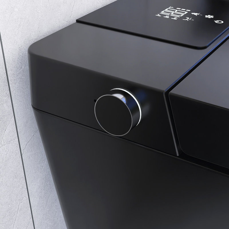 Toilette simple en céramique Smart 1,28 GPF, Noir