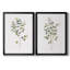 Eucalyptus I, toile encadrée de qualité supérieure - prête à être accrochée-1493061292-1493061295