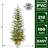 48' Lighted Fir Christmas Tree