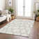 Chayden Area Rug