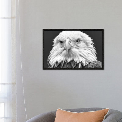 I See You! by David Gardiner - Print on Canvas