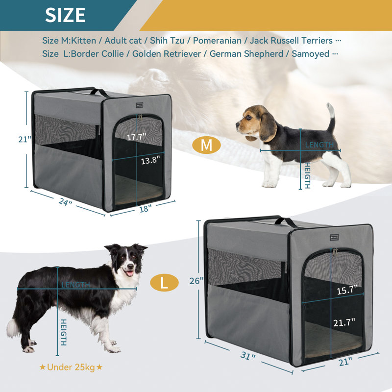 Caisse escamotable pour animal, gris, Moyen (H 26 po x l 31 po x P 21 po)
