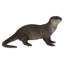 Loutre debout