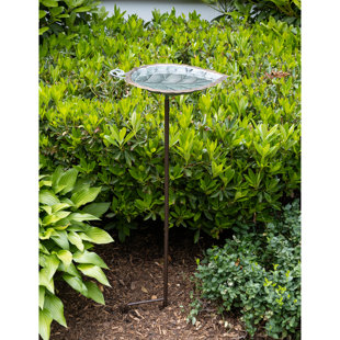 Farmhouse & Rustic Bird Baths | Birch Lane