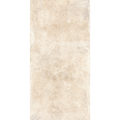 Provence 24"x48" Large Format Porcelain Stone Look Wall & Floor Tile
