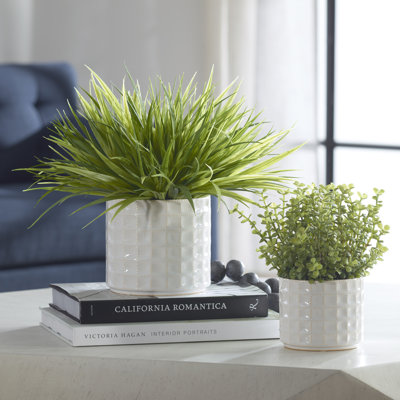 Ensemble de 2 plantes vertes en pot