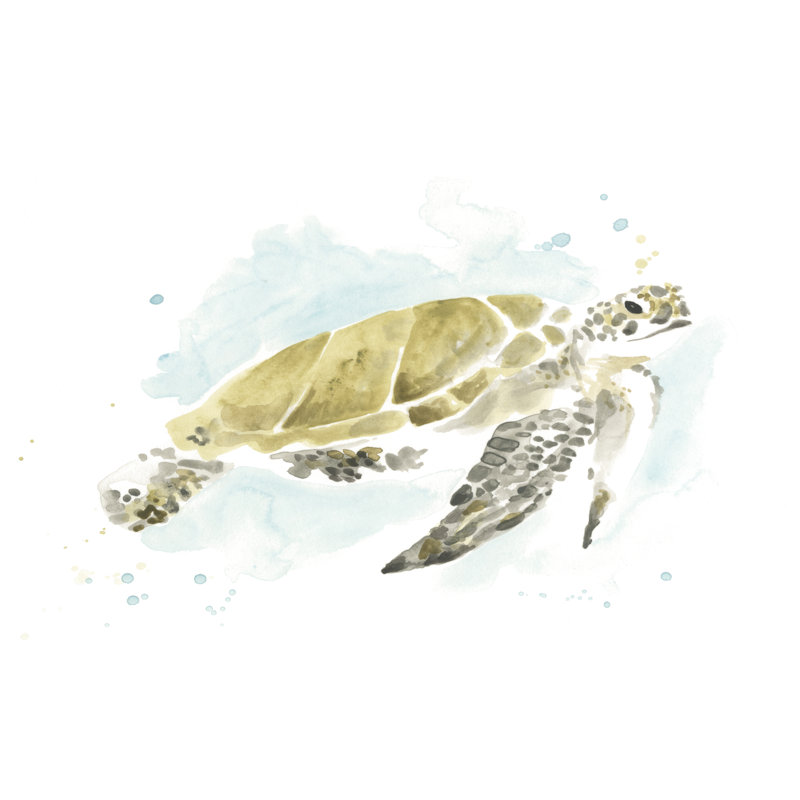 Étude de tortues de mer à l'aquarelle I, H 20 po x l 30 po x P 1,25 po