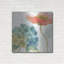 «Rainbow Seeds Flowers IV» par Lisa Audit-212187211