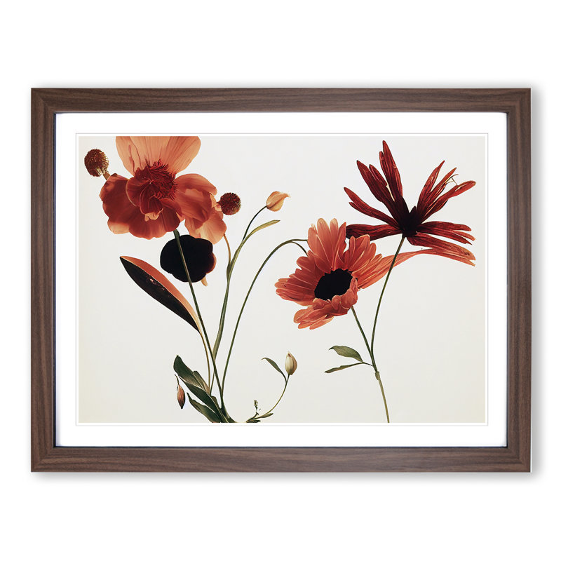 Entrancing Flowers - Framed Print, 46cm H x 64cm W, Walnut