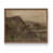 Noyer