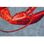 Area Rug-93636639