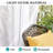 Abba Polyester Sheer Curtain Single Panel-653038175