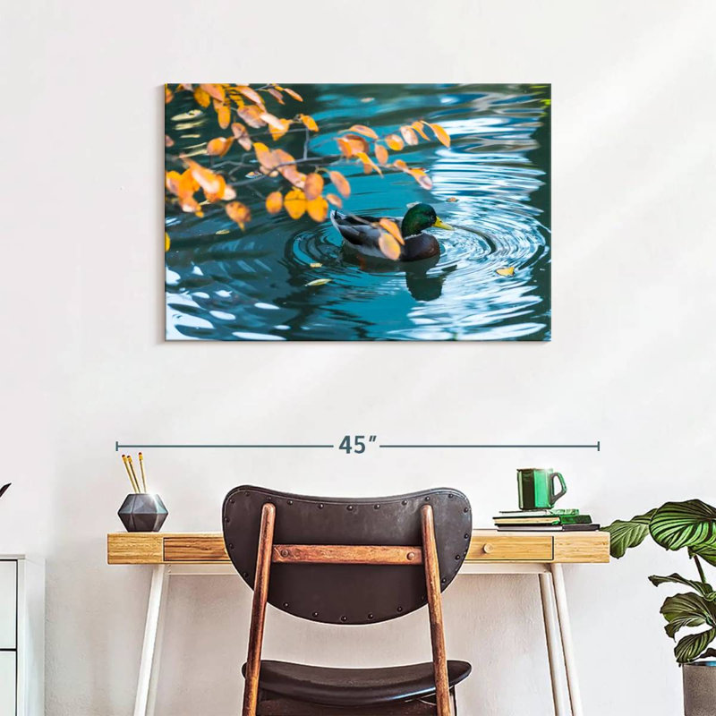 Brampt Mallard Duck On Pond, 24" H x 36" W