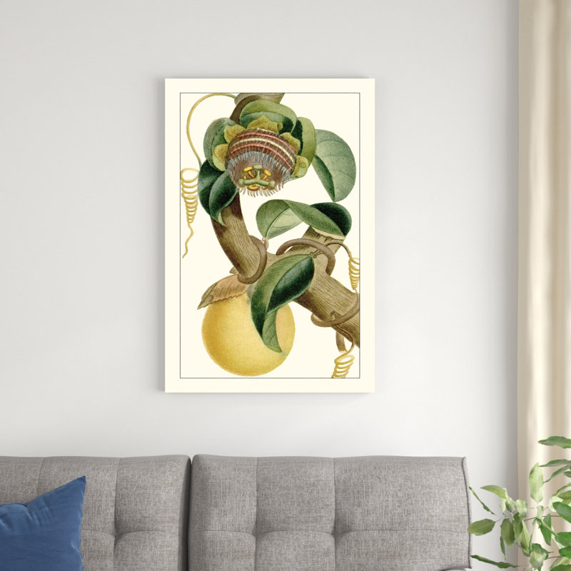 Turpin exotique botanique VII, H 36 po x l 24 po x P 1,25 po