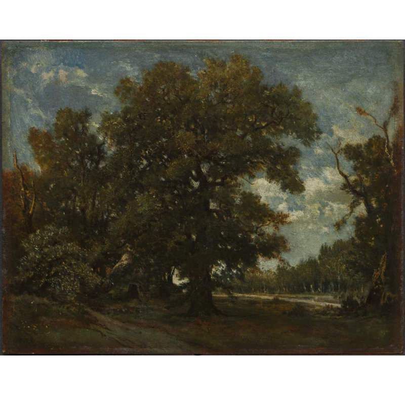 "The Oak Tree" par Théodore Rousseau - Toile tendue avec châssis, H 14 po x l 18 po