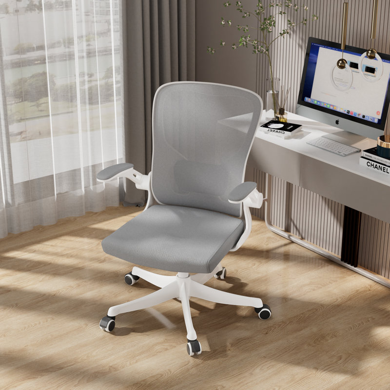 Task Chair, White/Gray