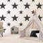 Style Sisters Classic Double Star Design Wallpaper Roll-209476093