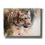 «Leopard's Lair» par Robert Campbell, art mural sur toile-1607839009