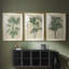 «Burlap Palm Silhouette I», impression encadrée sur mesure de qualité supérieure - 3 pièces-1369567217-1369567229