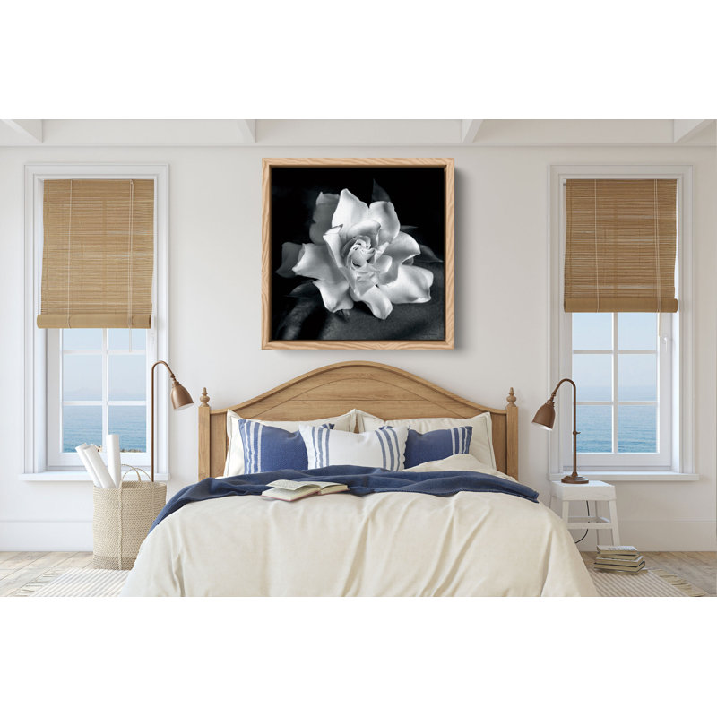 "Gardenia" par Debra VanS vêtementsingen, photographie de fleur sur toile tendue, H 36 po x l 36 po, Chêne blanc