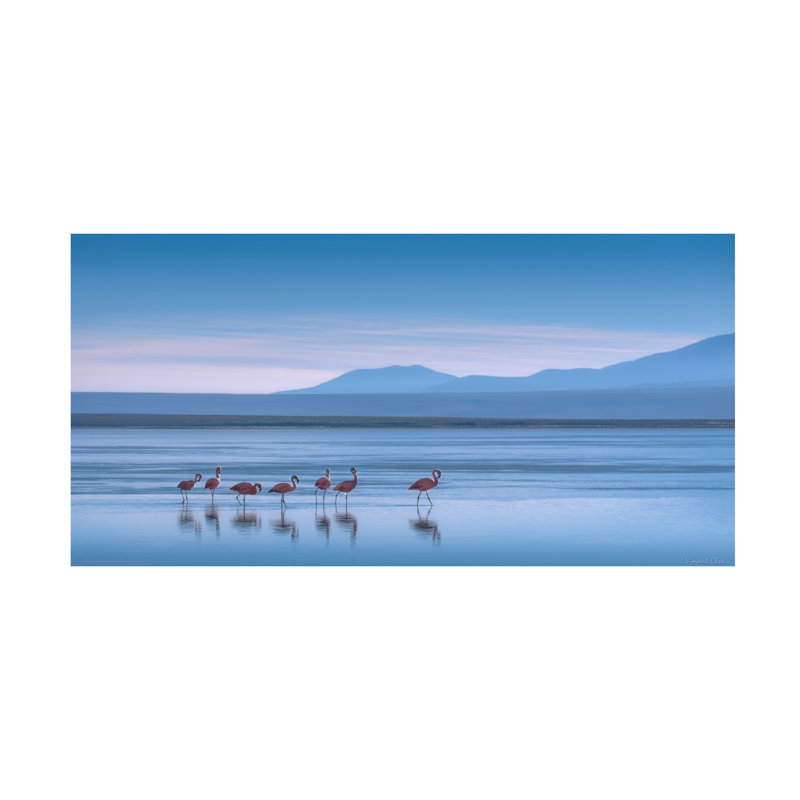 Vincent Chen  Flamingoes Canvas Art, 10" H x 19" W