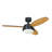 Alloy 42'' Ceiling Fan with LED Lights