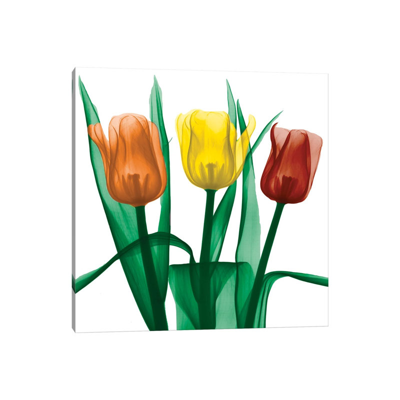 Jewel Embellished Tulips II - Wrapped Canvas Painting, 66.04 cm H x 66.04 cm W x 3.175 cm D