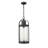 Vierra Outdoor Hanging Lantern