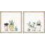 Vases of Succulents - Ensemble de 2 peintures encadrées-1236484152