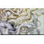 «nous cultes seuls. « isaiah 26:13 », reproduction d’impression sur toile-26088565-26088788