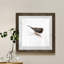 Mixed signaux IV-reproduction d’art sur papier encadrée-925224892-925224891