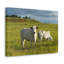 No Frame Print on Canvas-1021191514