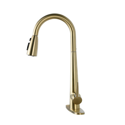 Pull Down Single Handle Kitchen Faucet