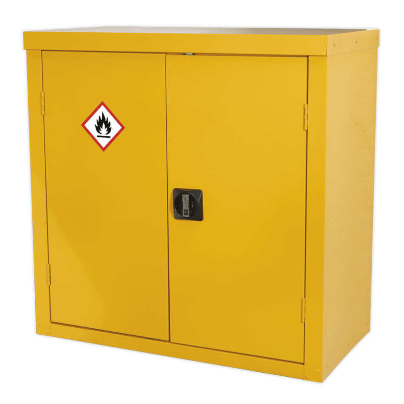 Robena Metal Safety Cabinet