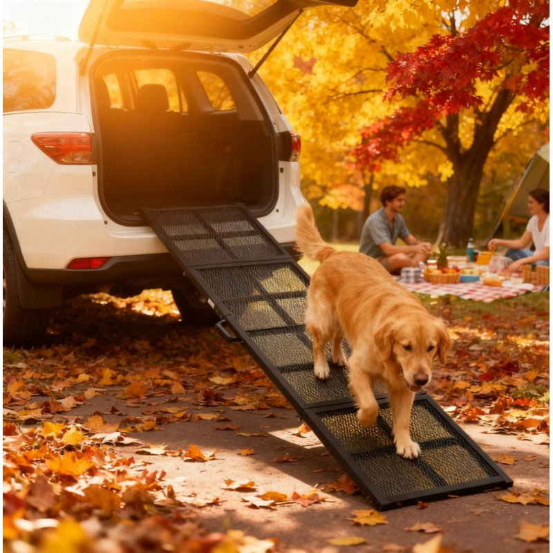 Rampe pliante pour chien