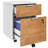 Radhika 42cm Wide 2 -Drawer Mobile File Cabinet