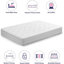 Camryn Solid Wood Daybed with Mattress