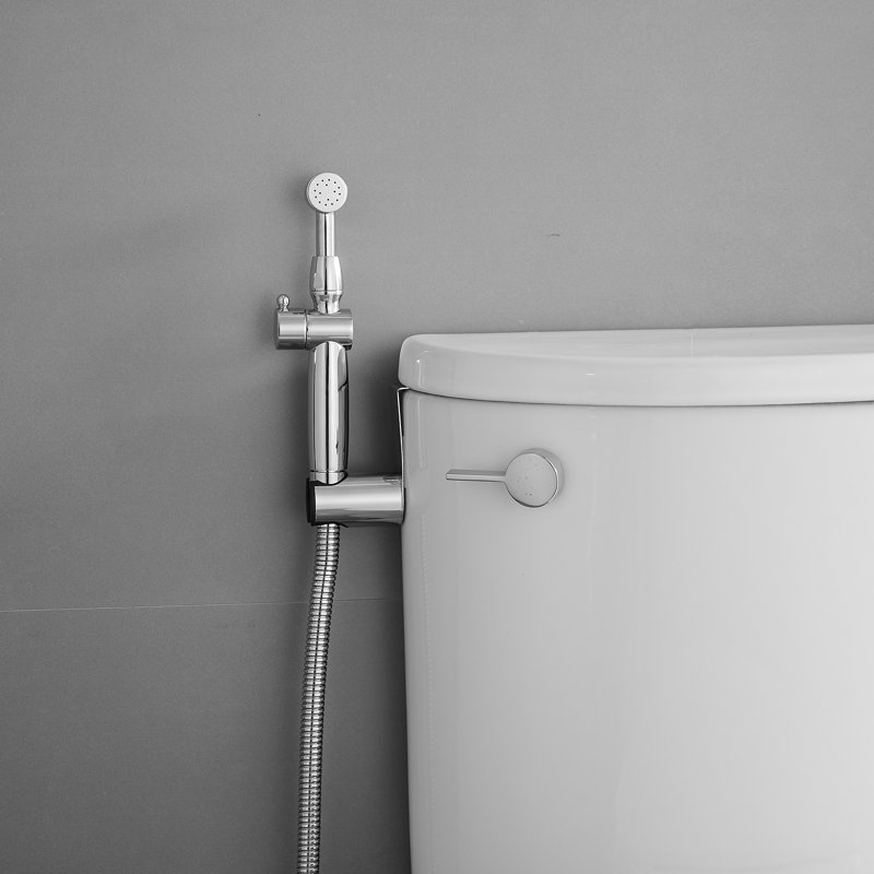 Hand Held Bidet, Chrome