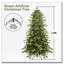 Arbre de Noël vert 5 pi-1826299568-1826299570