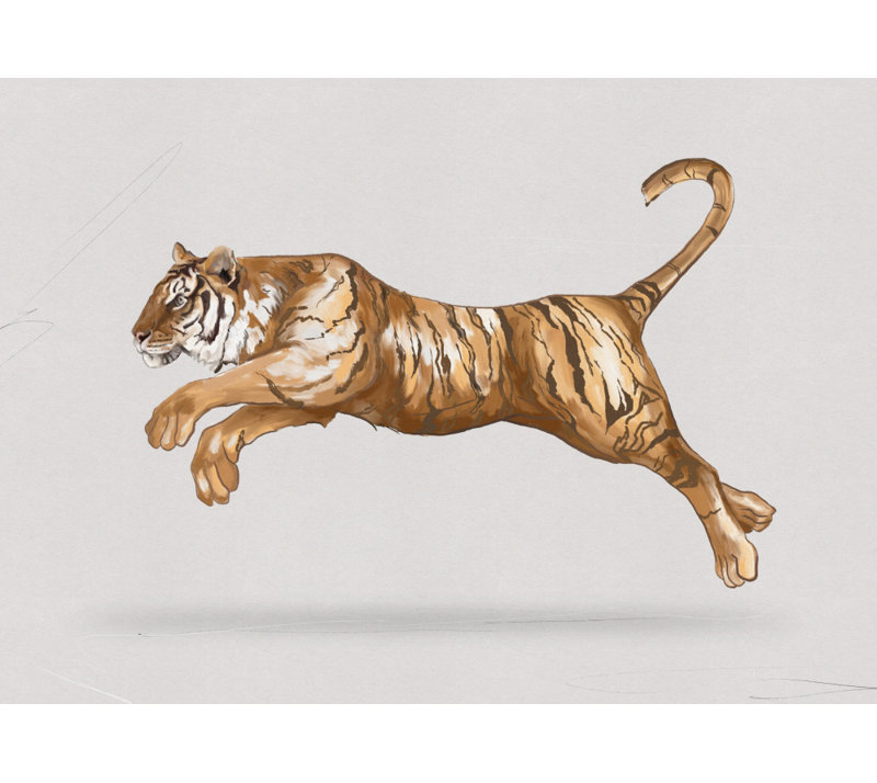 Wrapped Canvas Print, 60.96 cm H x 91.44 cm W