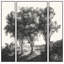 Countryside Etching Triptych Print by Lillian August