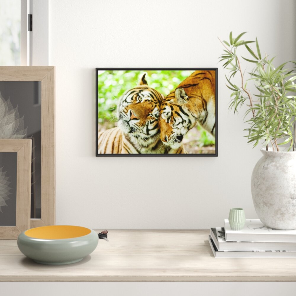 Gerahmtes Wandbild Zwei liebkosende Tiger