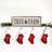 Tree Farm Whitewash-426676356