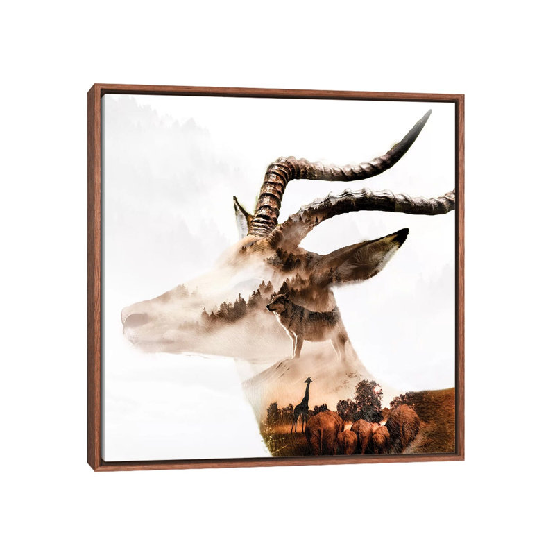Gazelle by Paul Haag - Print on Canvas, 45.72 cm H x 45.72 cm W, Classic Brown Wood Framed