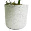 Plastic, Silk Monstera Arrangement in Pot