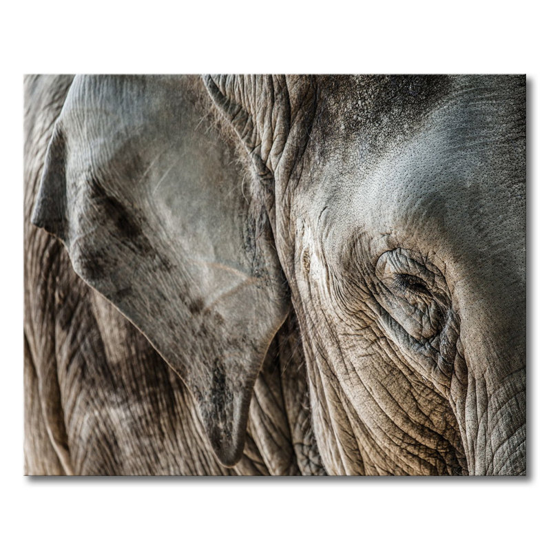 Wrapped Canvas Print, 80cm H x 100cm W x 2cm D