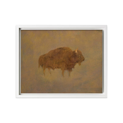 Buffalo in a Sandstorm